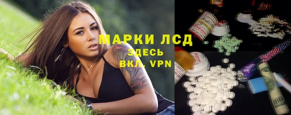 ПСИЛОЦИБИНОВЫЕ ГРИБЫ Арсеньев
