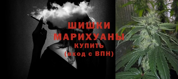 ПСИЛОЦИБИНОВЫЕ ГРИБЫ Арсеньев