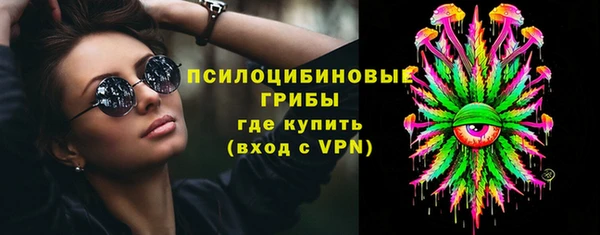 ПСИЛОЦИБИНОВЫЕ ГРИБЫ Арсеньев