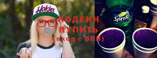 ПСИЛОЦИБИНОВЫЕ ГРИБЫ Арсеньев