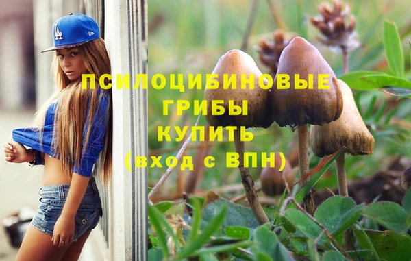 ПСИЛОЦИБИНОВЫЕ ГРИБЫ Арсеньев