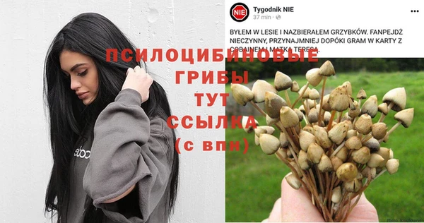 mdpv Аркадак